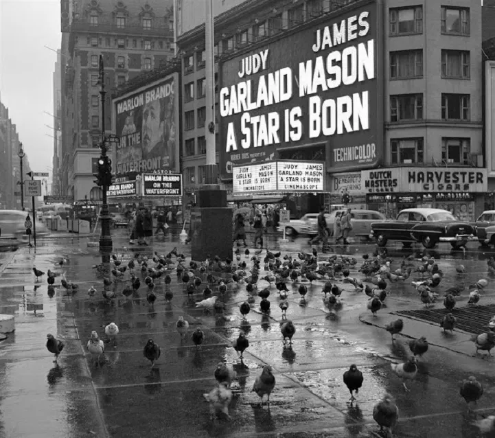 All images courtesy of Soren Larson. © Frank Larson
