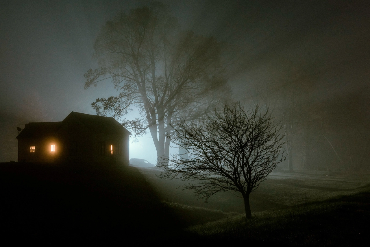 © Michael McCluskey