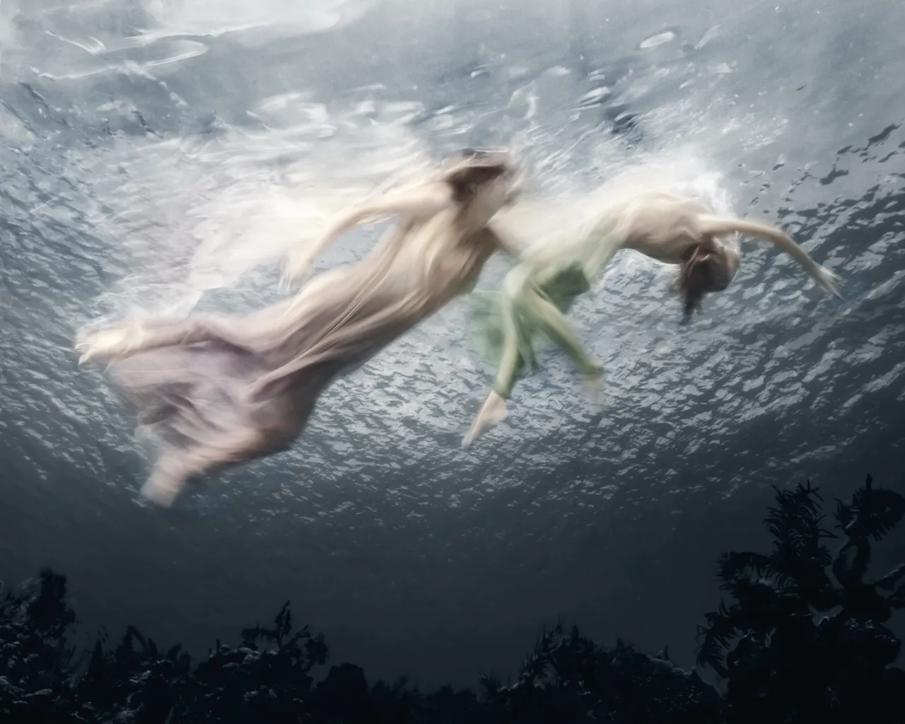 Essence, 2019 © Barbara Cole