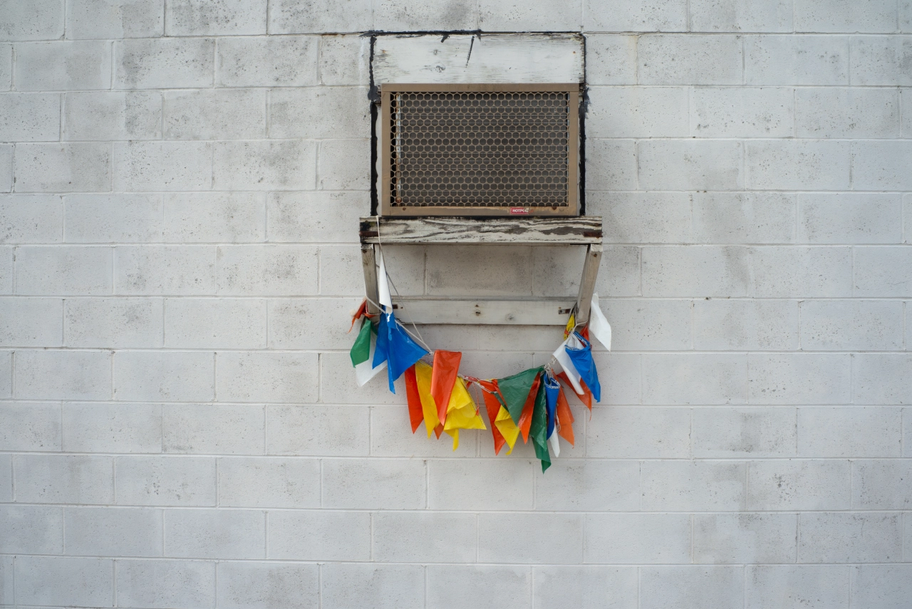 © Peter Stitt, from the book A Southern Verse, published by Daylight Books