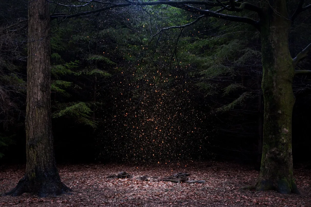 Stars 8, 2014. © Ellie Davies. Fine Art Single Image Winner, Magnum and LensCulture Photography Awards 2017