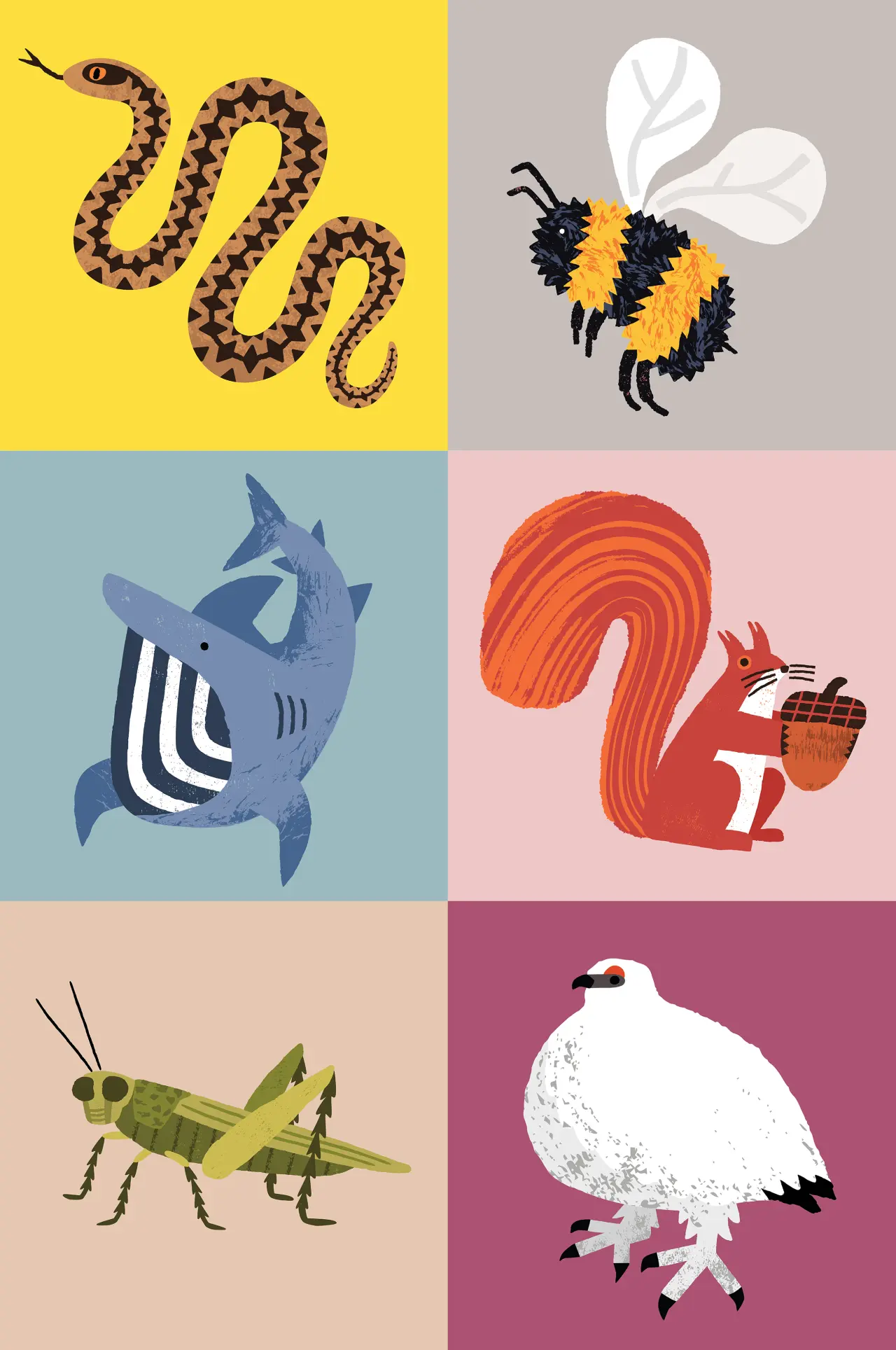 Grid of six coloured squares featuring stylised illustrations of a snake, bee, whale, squirrel, grasshopper and ptarmigan