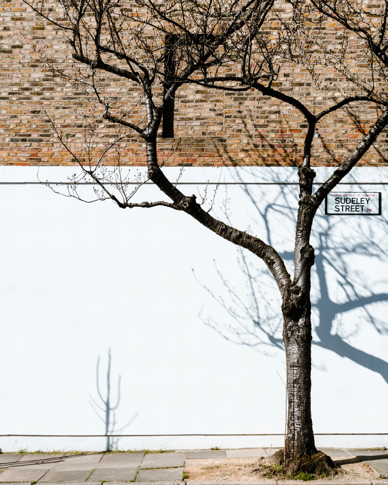 © Andy Billman