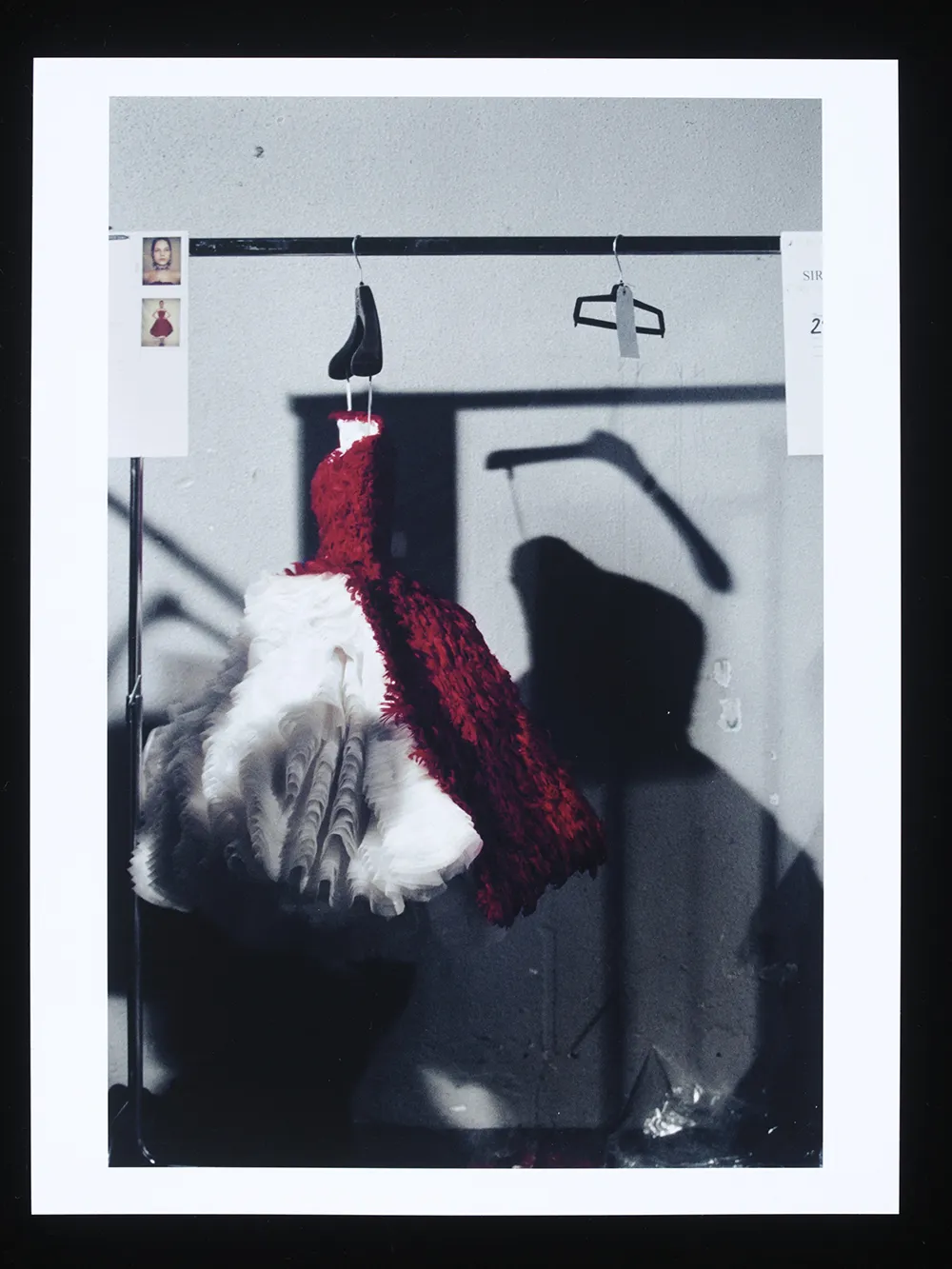 Red Featherweight, 2008 - © Ann Ray / Victoria and Albert Museum, London
