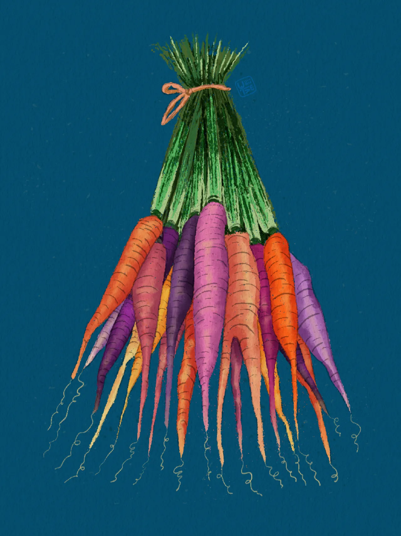Polychromatic carrots.