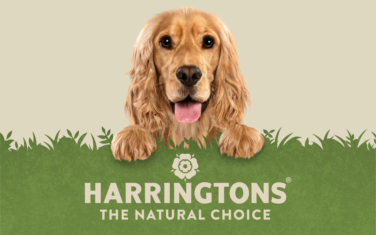 Credit: Robot Food / Harringtons