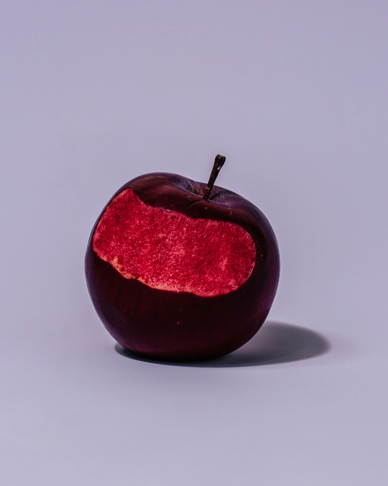 Niedzwetskyana © 2021 William Mullan