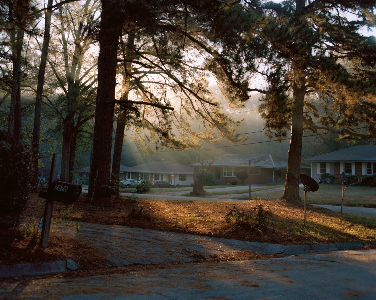 © Vincent Desailly
