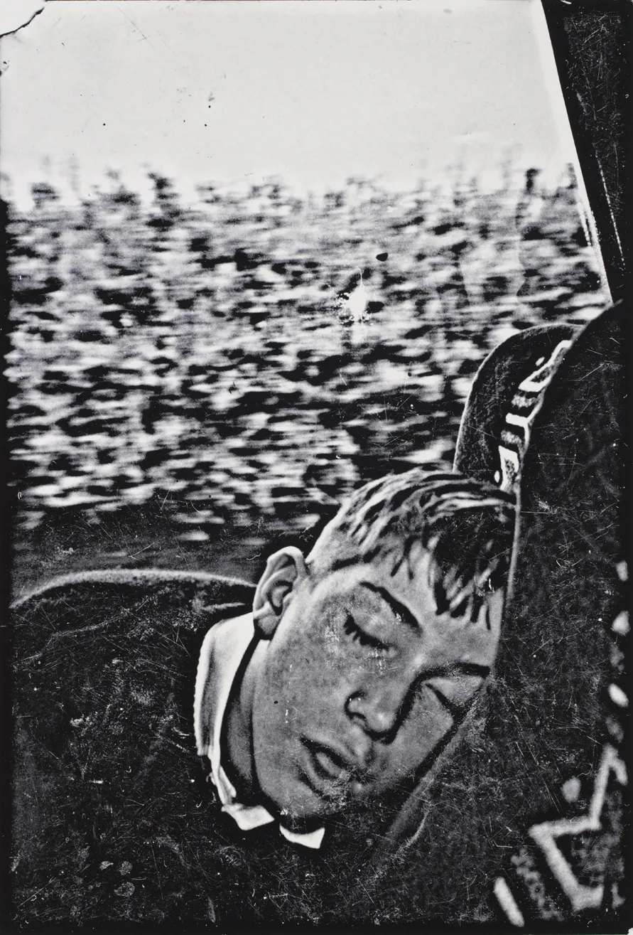 Bedwyr Williams Hippo Campus, 2010 Arts Council Collection, Southbank Centre, London © the artist