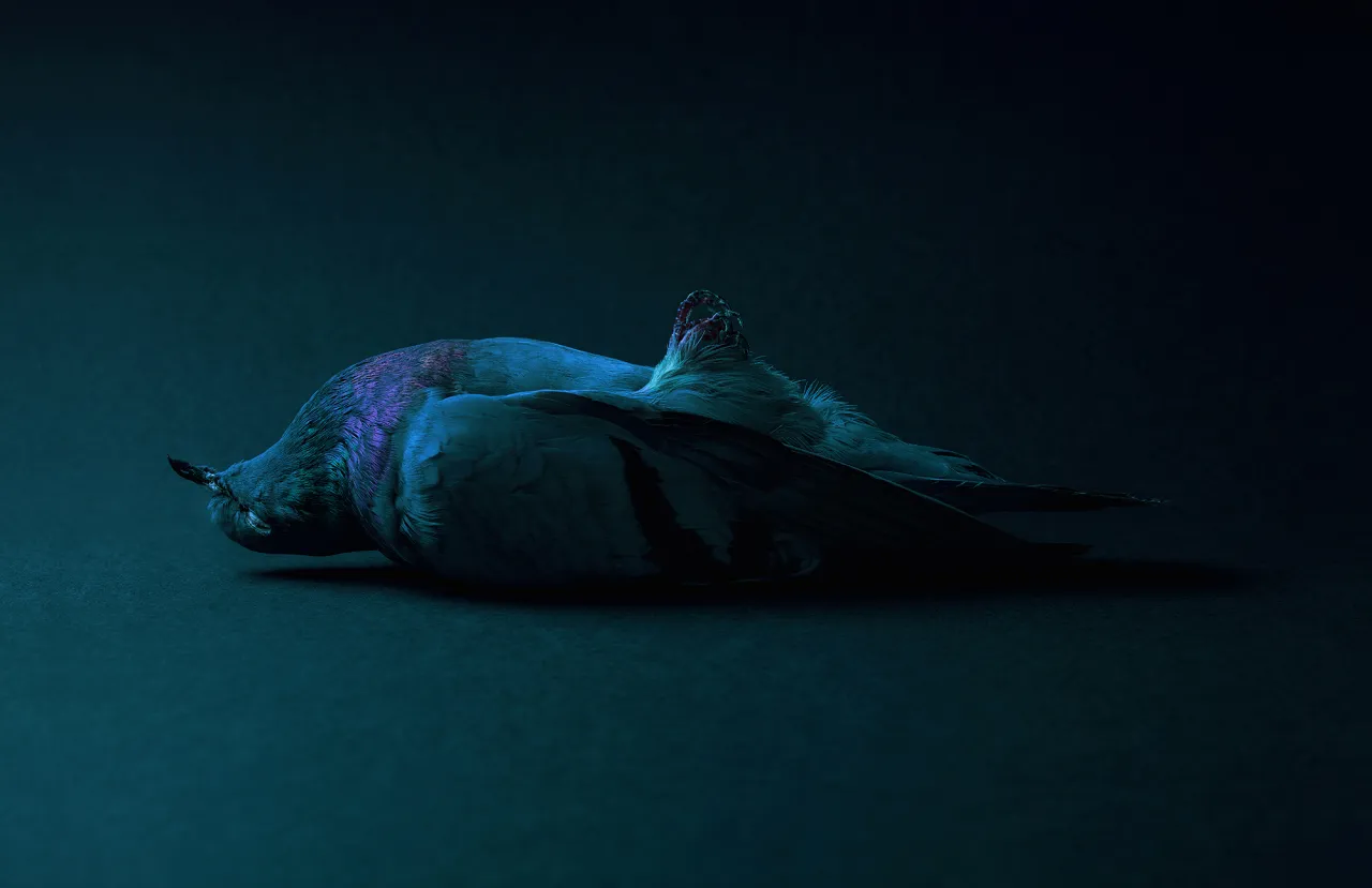Theo Ellison Entombment, 2017 C-type Lambda print 78 x 120 cm © Theo Ellison, 2017 Image courtesy of the Saatchi Gallery, London
