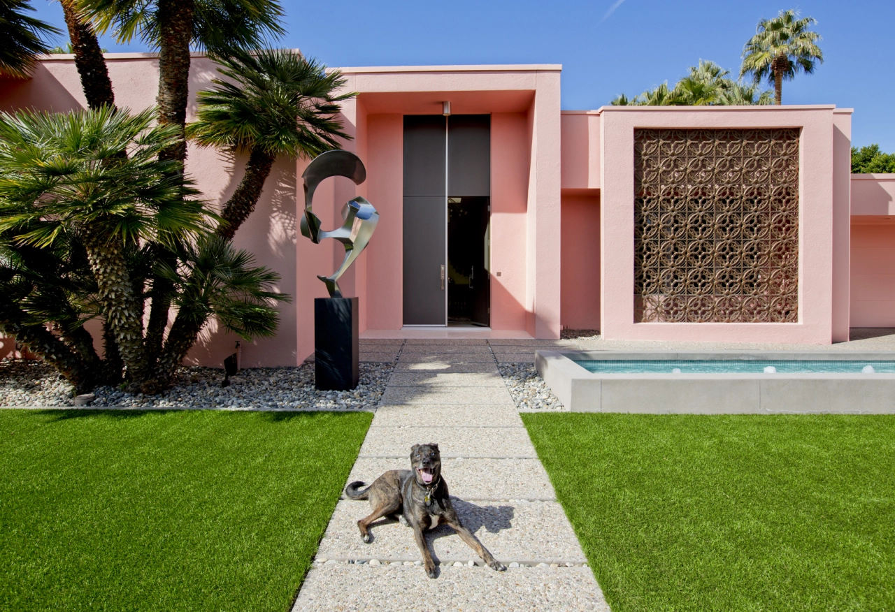 Mingus Shpall, Australian Shepherd / Catahoula Leopard Rescue. Architects: Albert Frey and Robson Chambers, 1964 © Nancy Baron