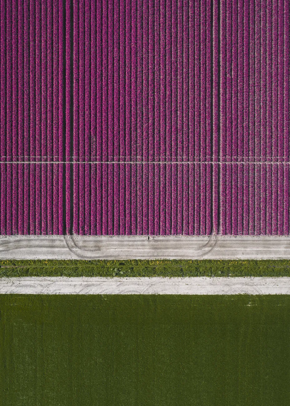 © Tom Hegen