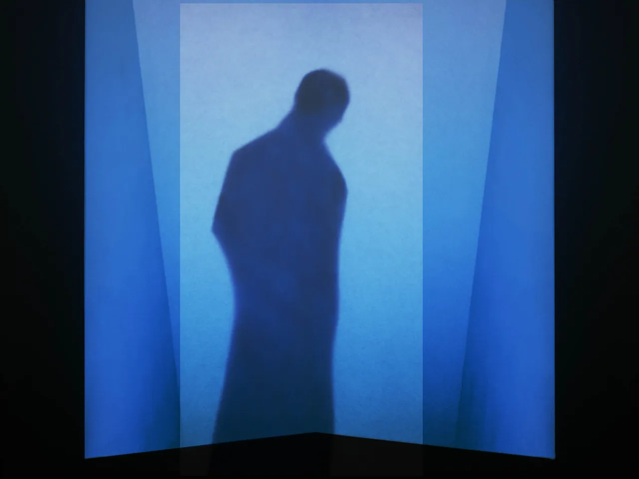 © Bill Armstrong