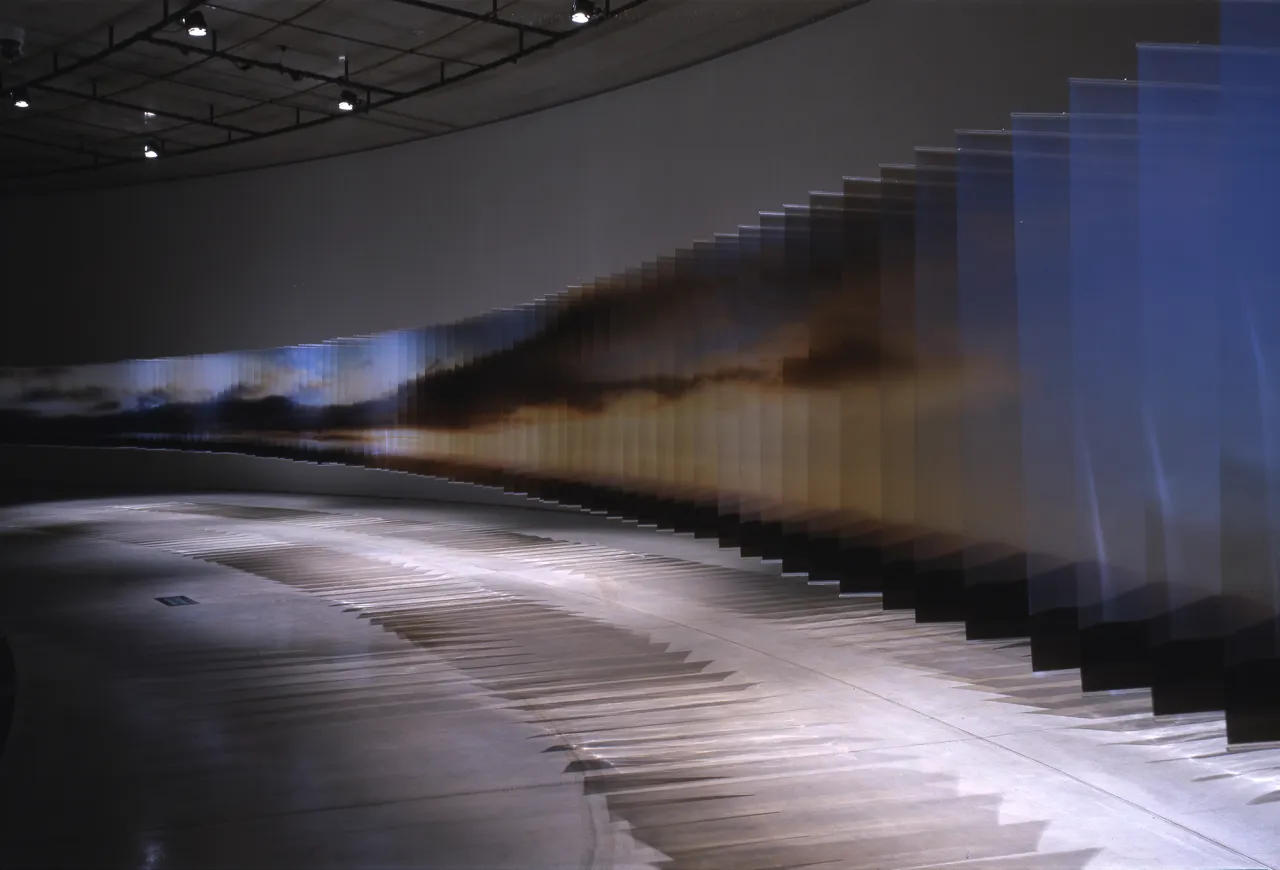 © Tadasu Yamamoto