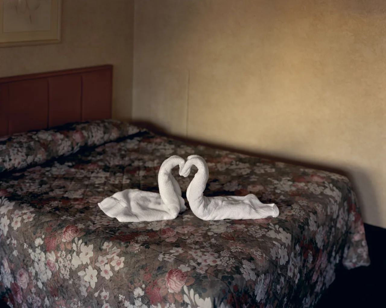 Canada. 2004. Two towels. © Alec Soth/Magnum Photos
