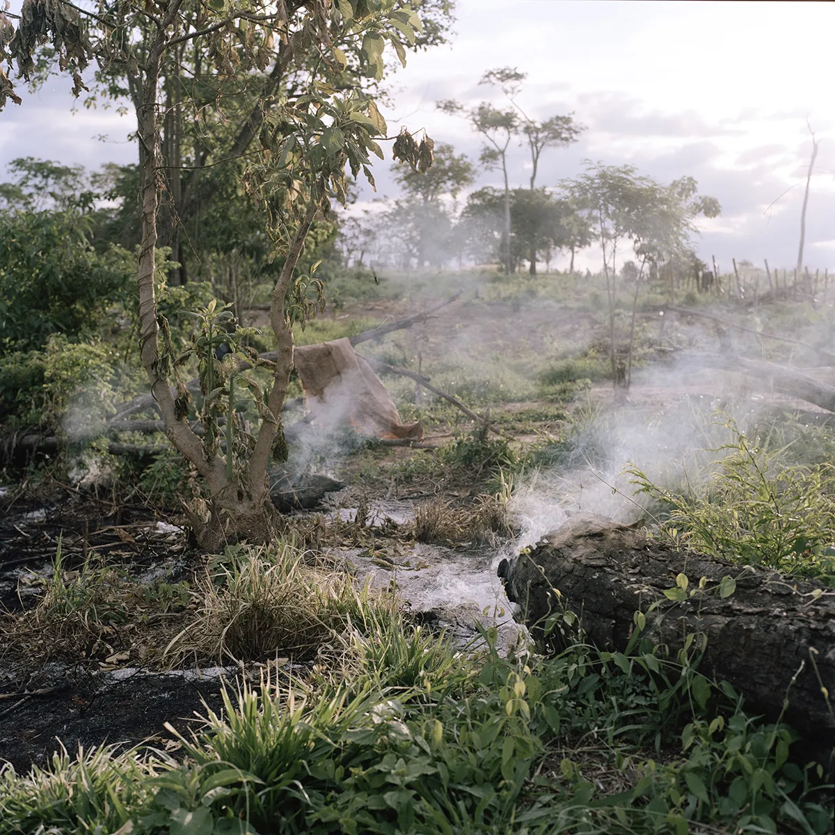 © Jordi Ruiz Cirera, courtesy Francesca Maffeo Gallery