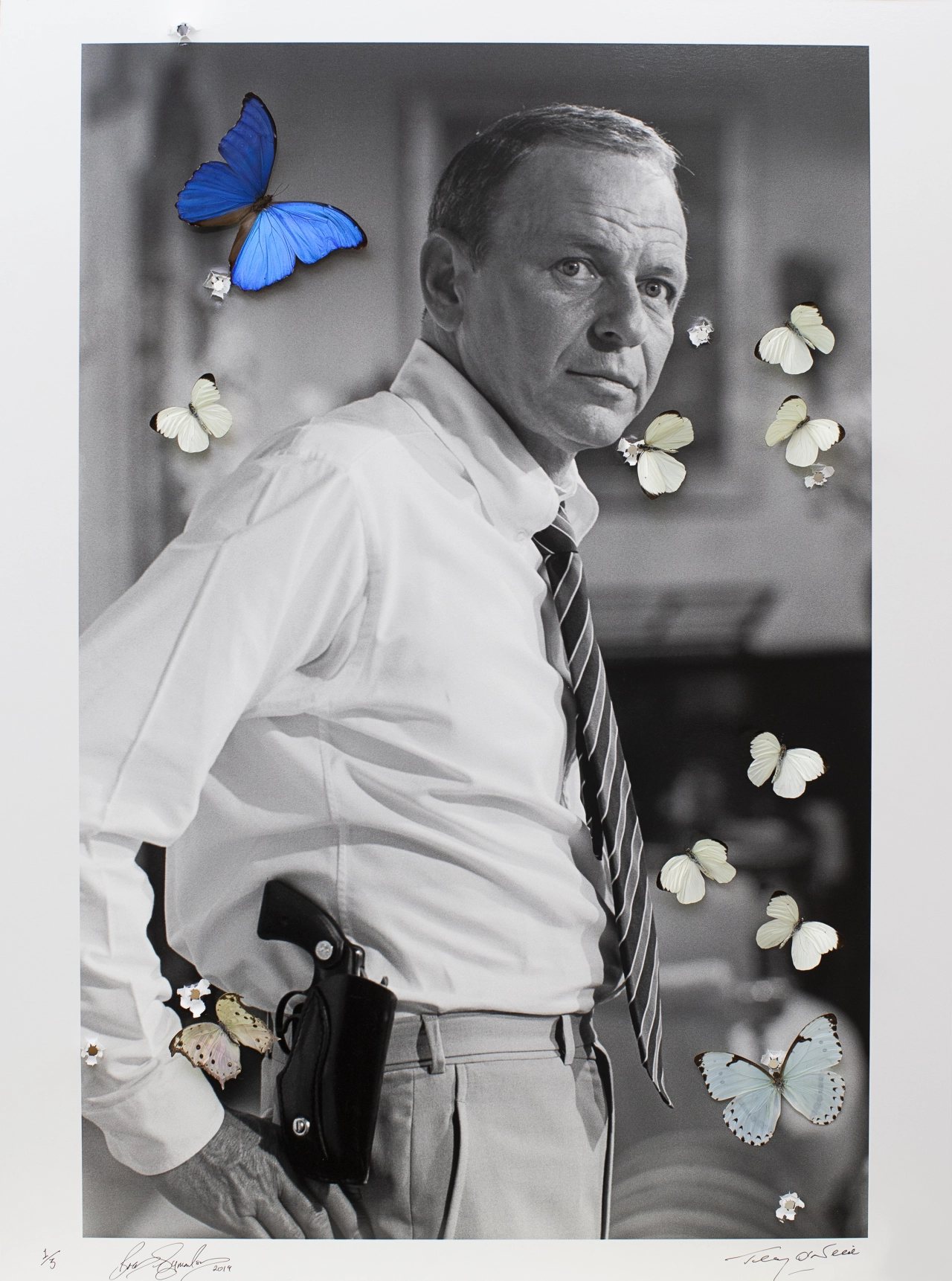 Frank, by Bran Symondson