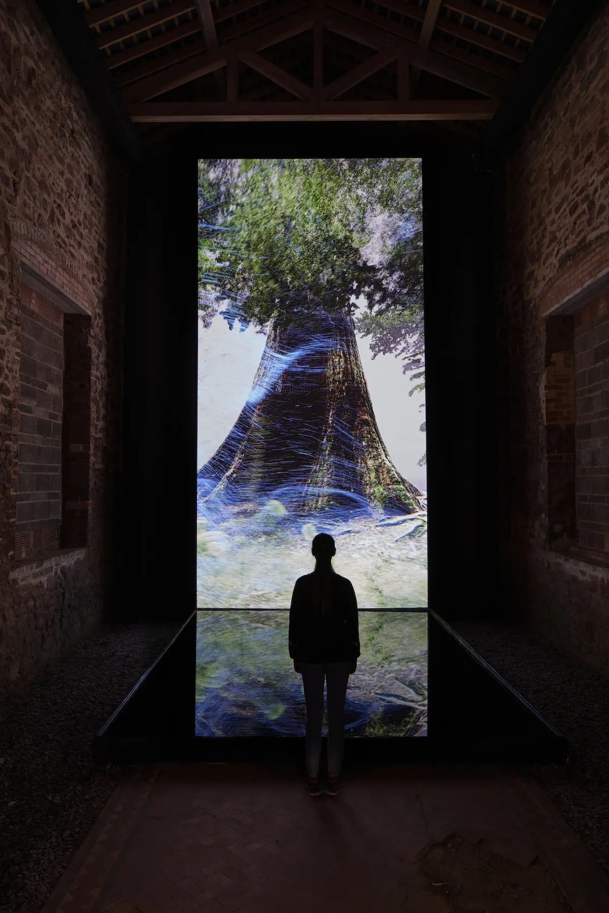 Marshmallow Laser Feast Observations On Being, Coventry City of Culture 2021 Installation image of We Live in an Ocean of Air Video Edition Photo by David Levene