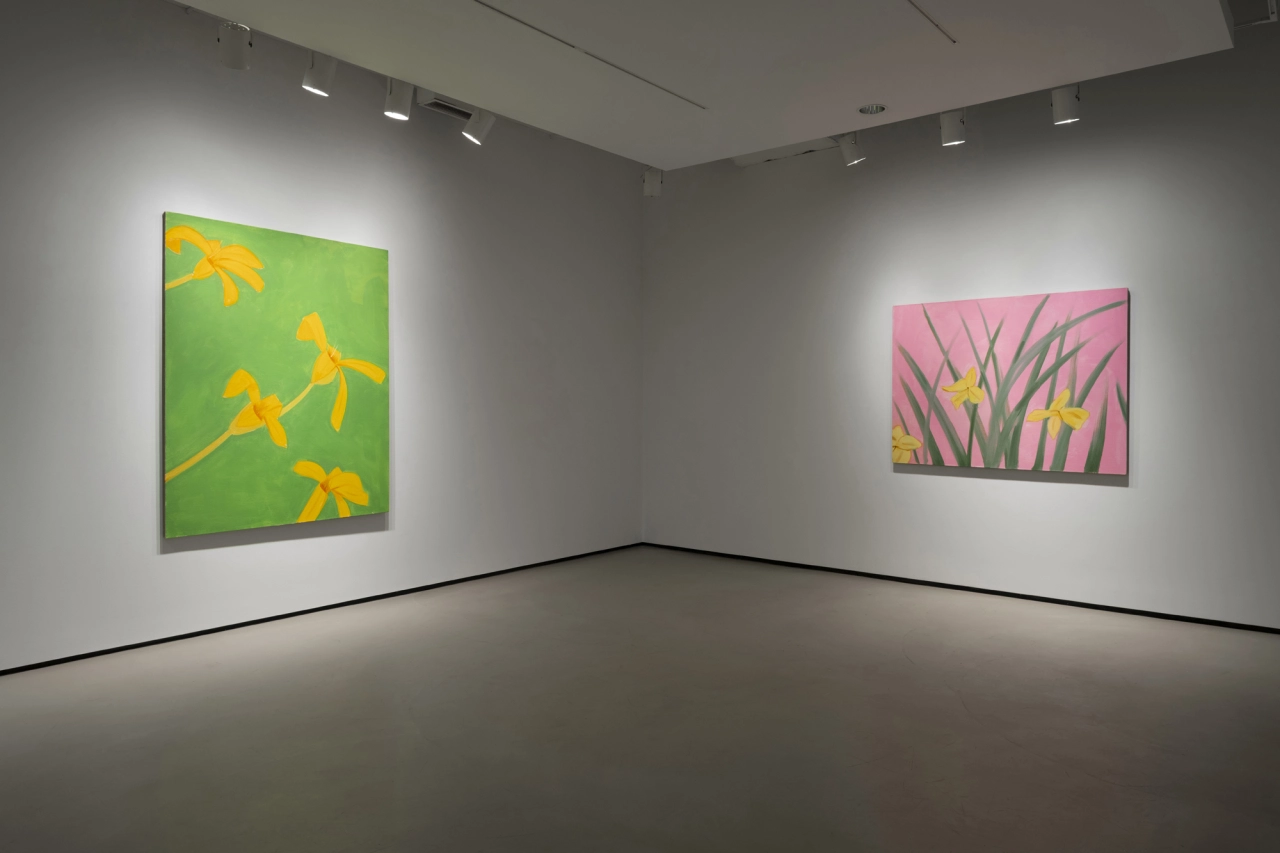 Installation shot from Richard Gray Gallery