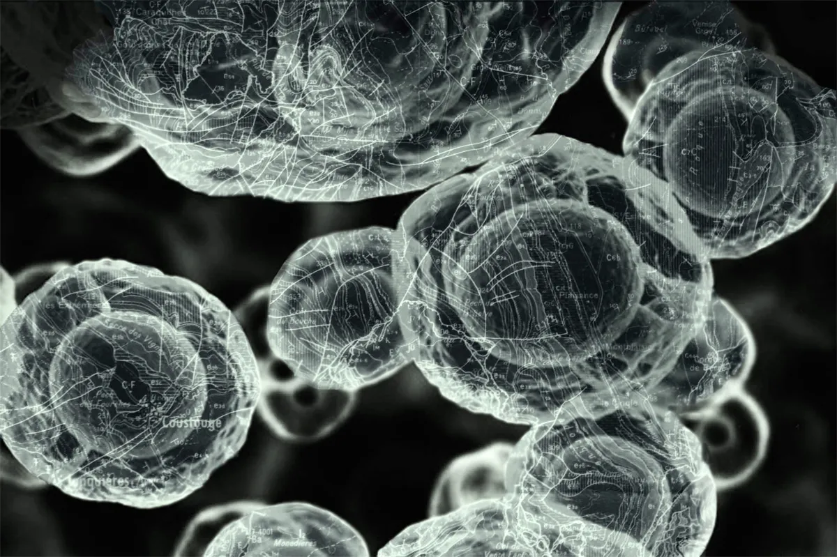 Mapping1_OxygenIb_PEM © Yasmin Crawford