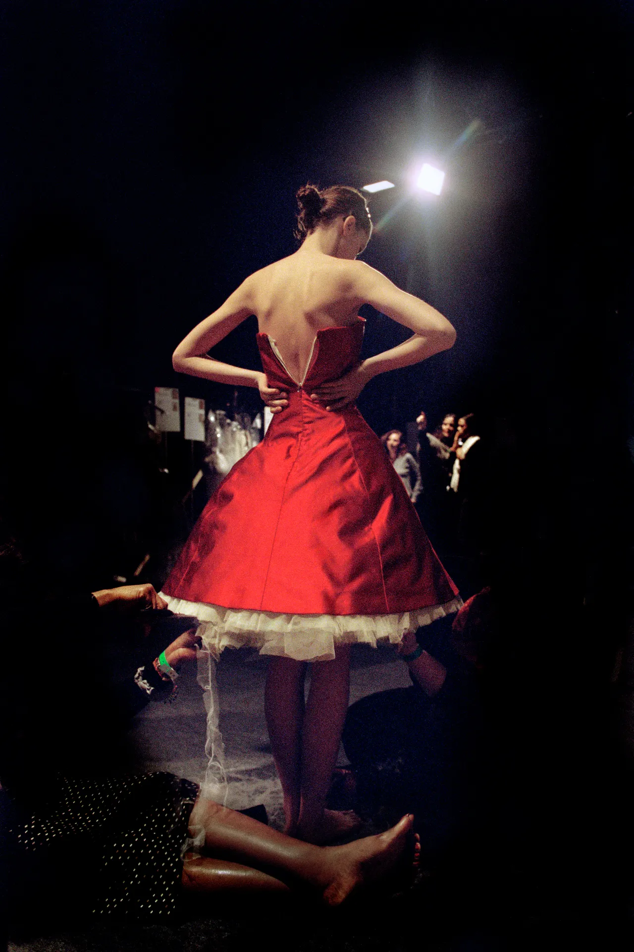 Ann Ray Flesh and Blood, 2008 40 x 30 cm. Color Photograph. Image courtesy of Ann Ray and Barrett Barrera Projects