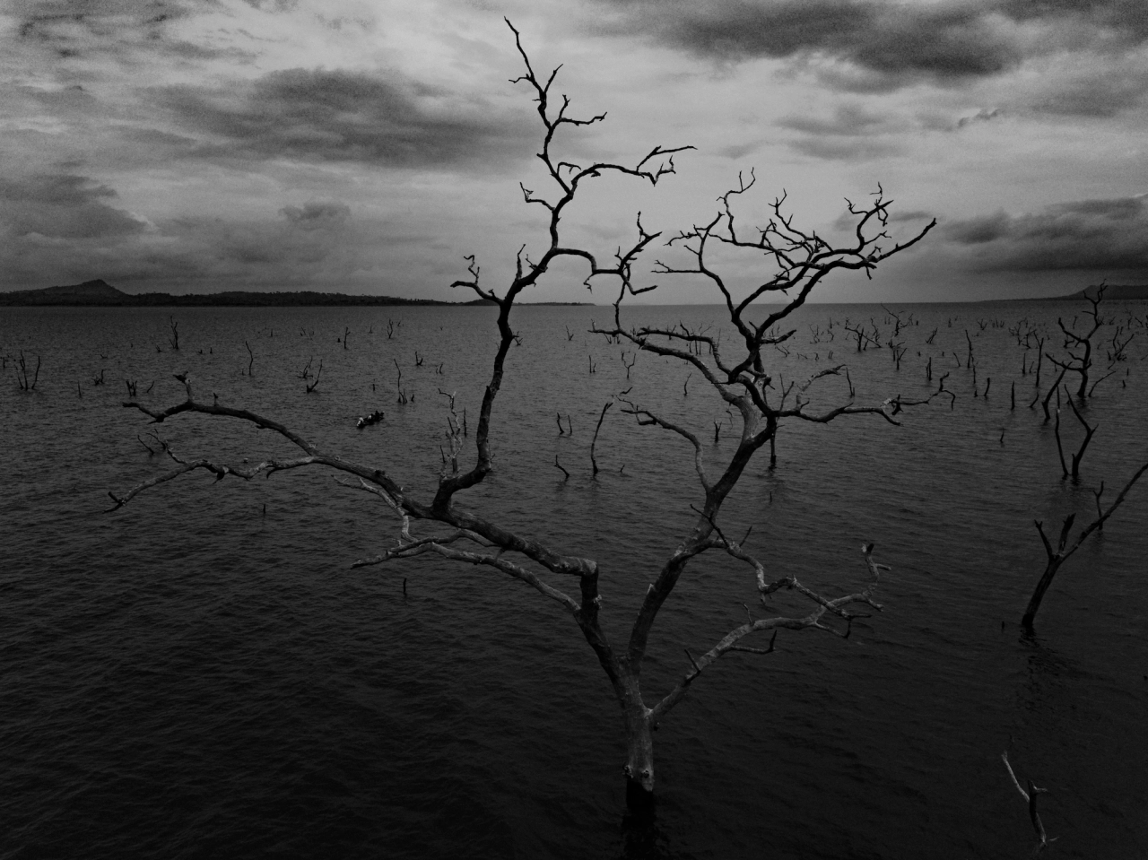 © Jeremy Snell