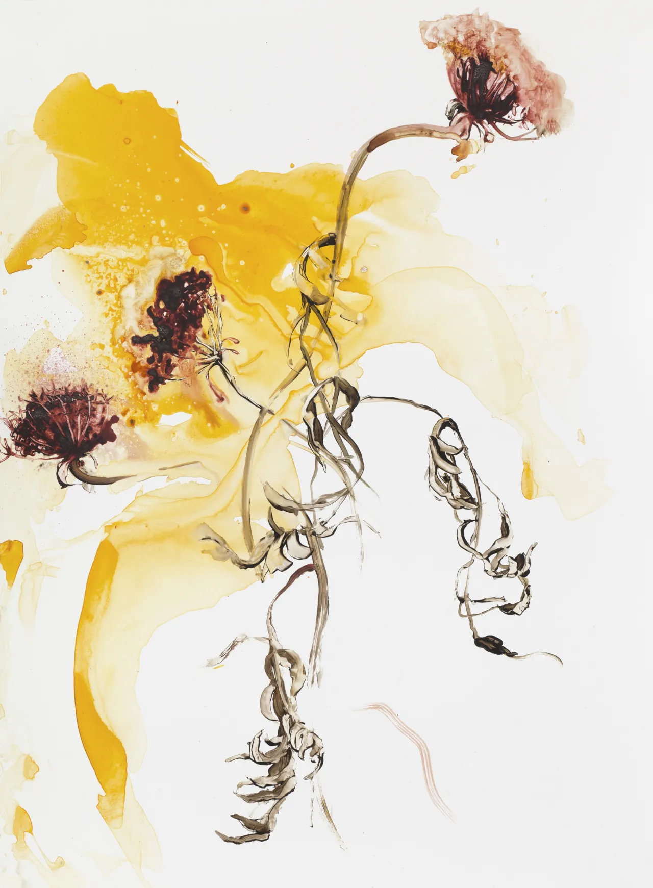 Ilana Manolson, Yarrow, 2017, acrylic on yupo paper on board, 25.8in x 19.2in © the artist, courtesy of Cadogan Contemporary