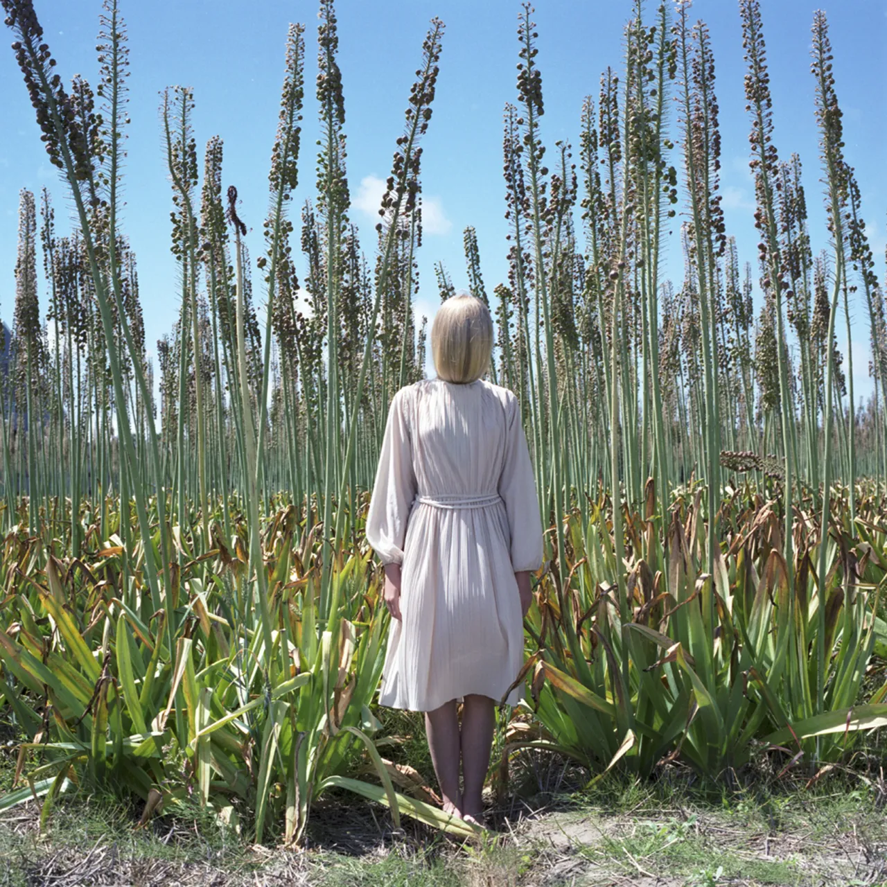 Untitled, 2014. © Hellen van Meene, Courtesy of the Artist and Yancey Richardson Gallery