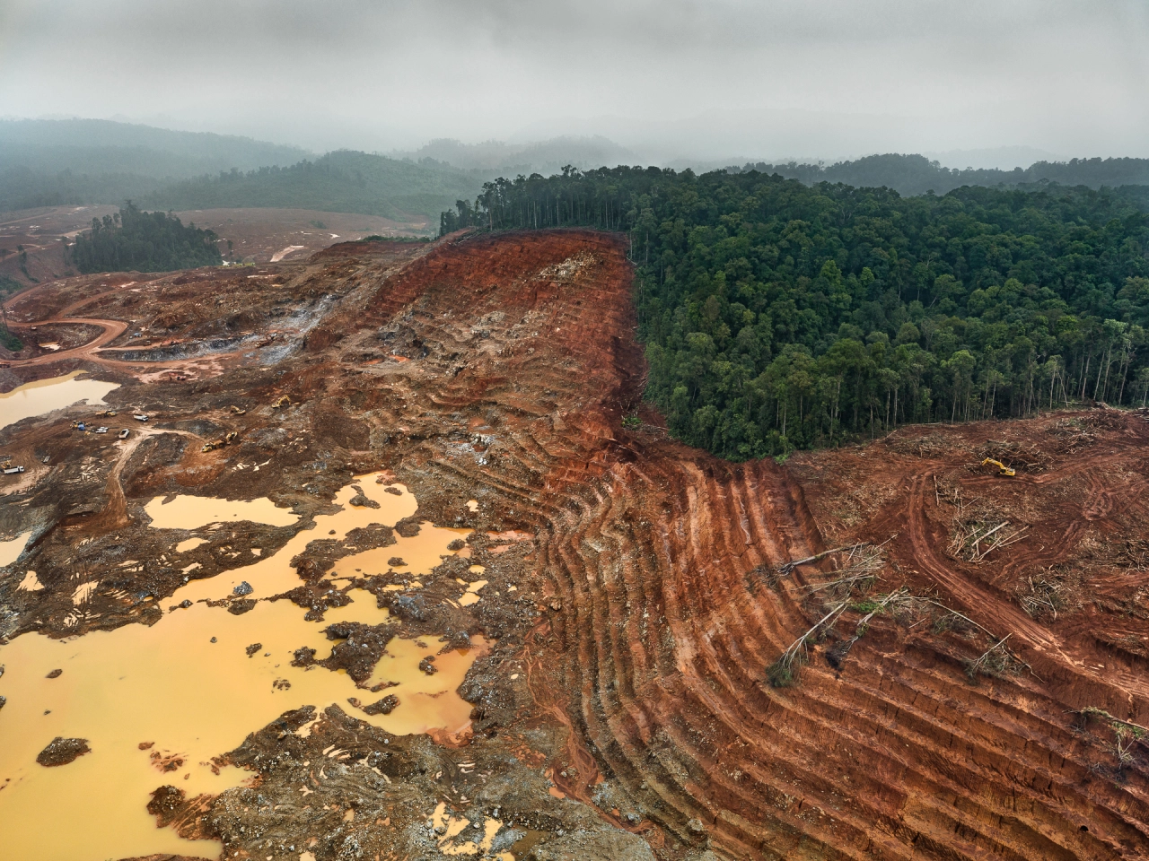 Aerial view of a mining operation with cleared red earth and curved extraction lines adjacent to dense green forest, with yellow water pooling on the disturbed ground below.