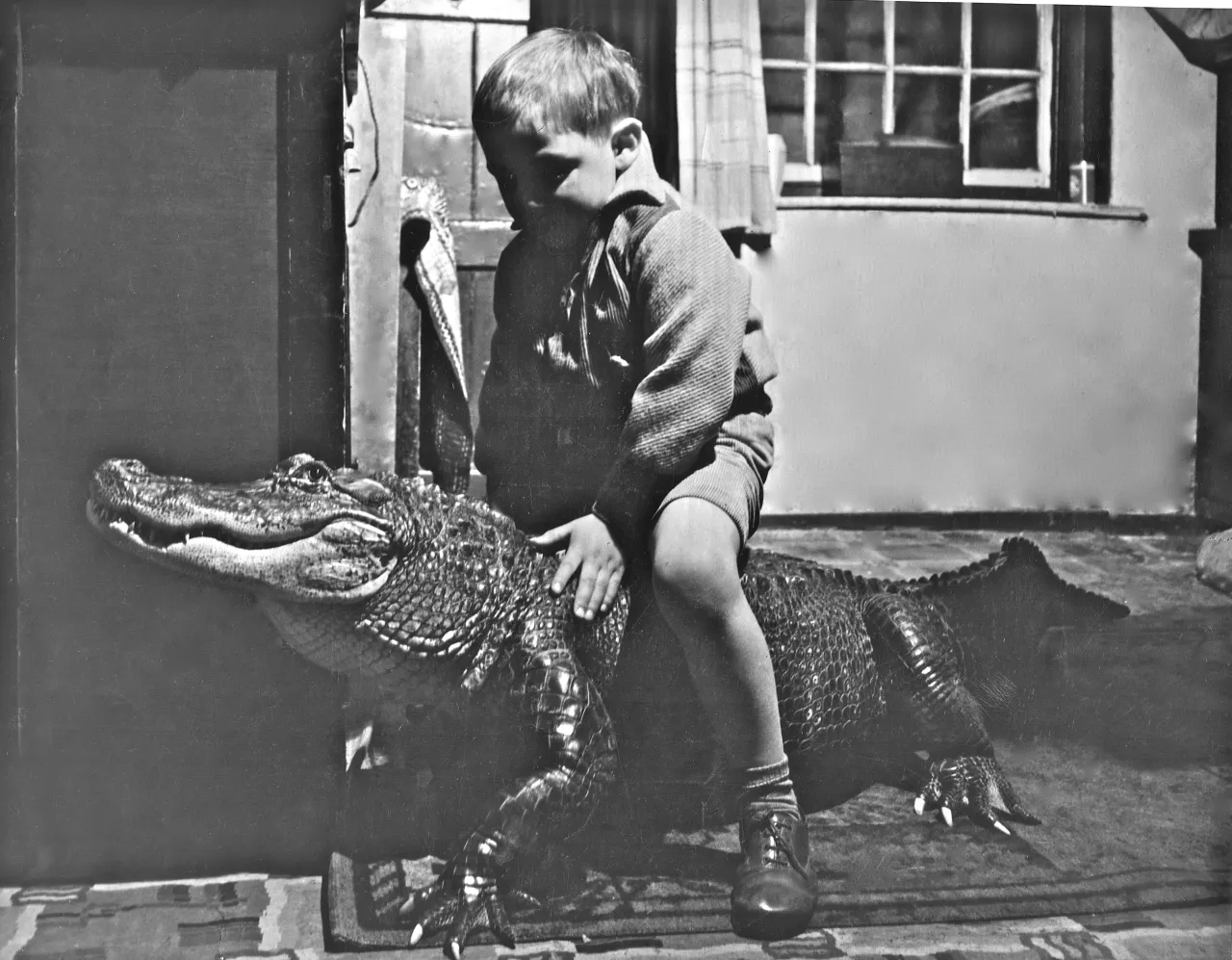 Pen Densham riding an alligator in the short film Strange Cargo