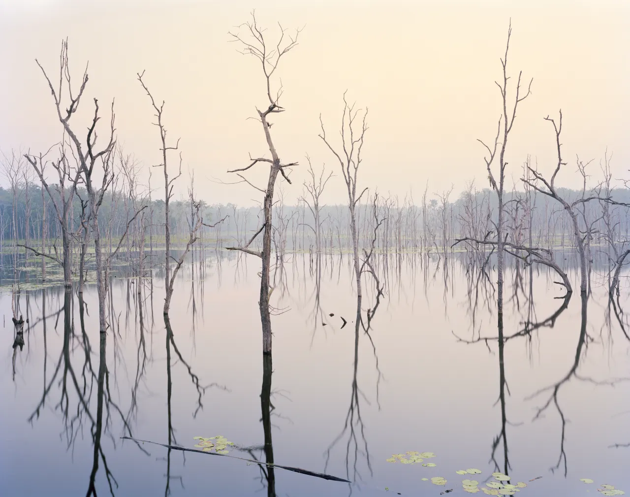 Hidden Lake