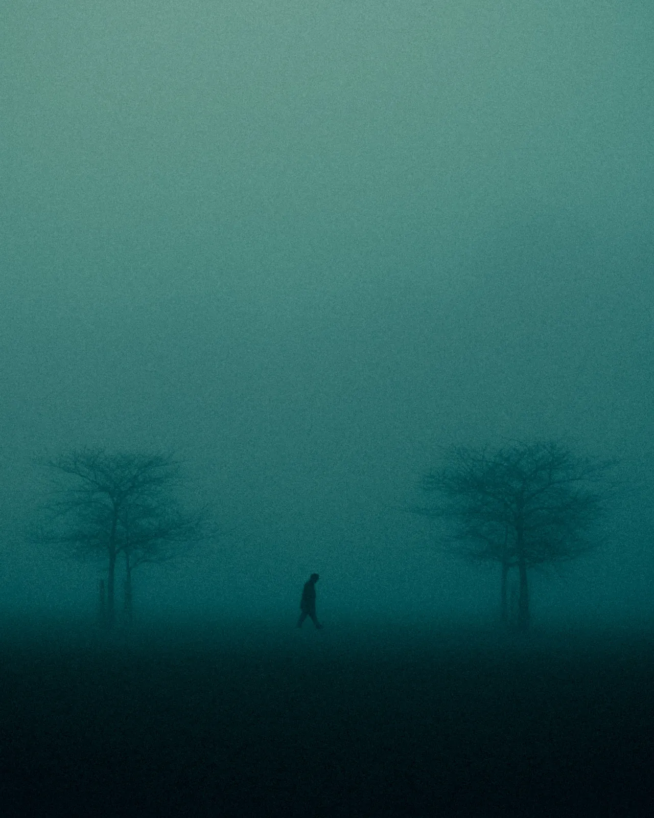 © Eren Sarigul, courtesy of Stills and the artist