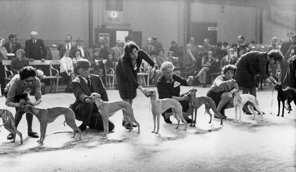 © Estate of Shirley Baker/Mary Evans Picture Library
