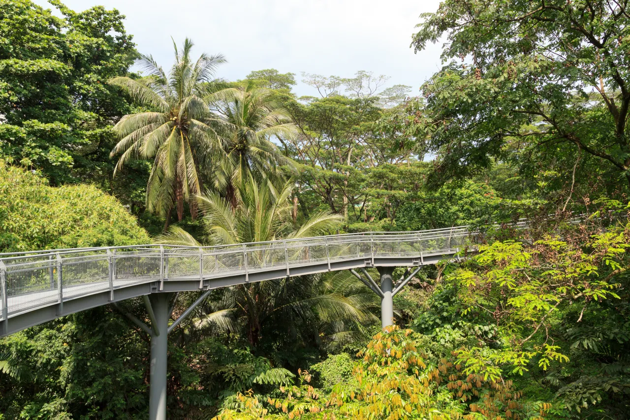 Southern Ridges. Image courtesy of [Adobe Stock](https://stock.adobe.com/)