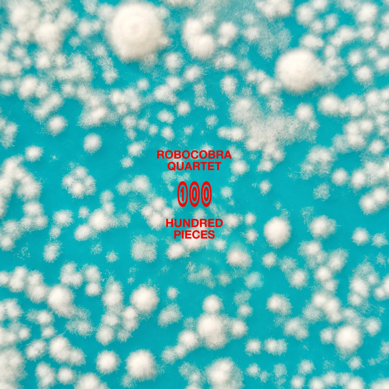 Robocobra Quartet's Hundred Pieces album cover featuring red text overlaid on a turquoise background scattered with white fuzzy petri dishes of fungus
