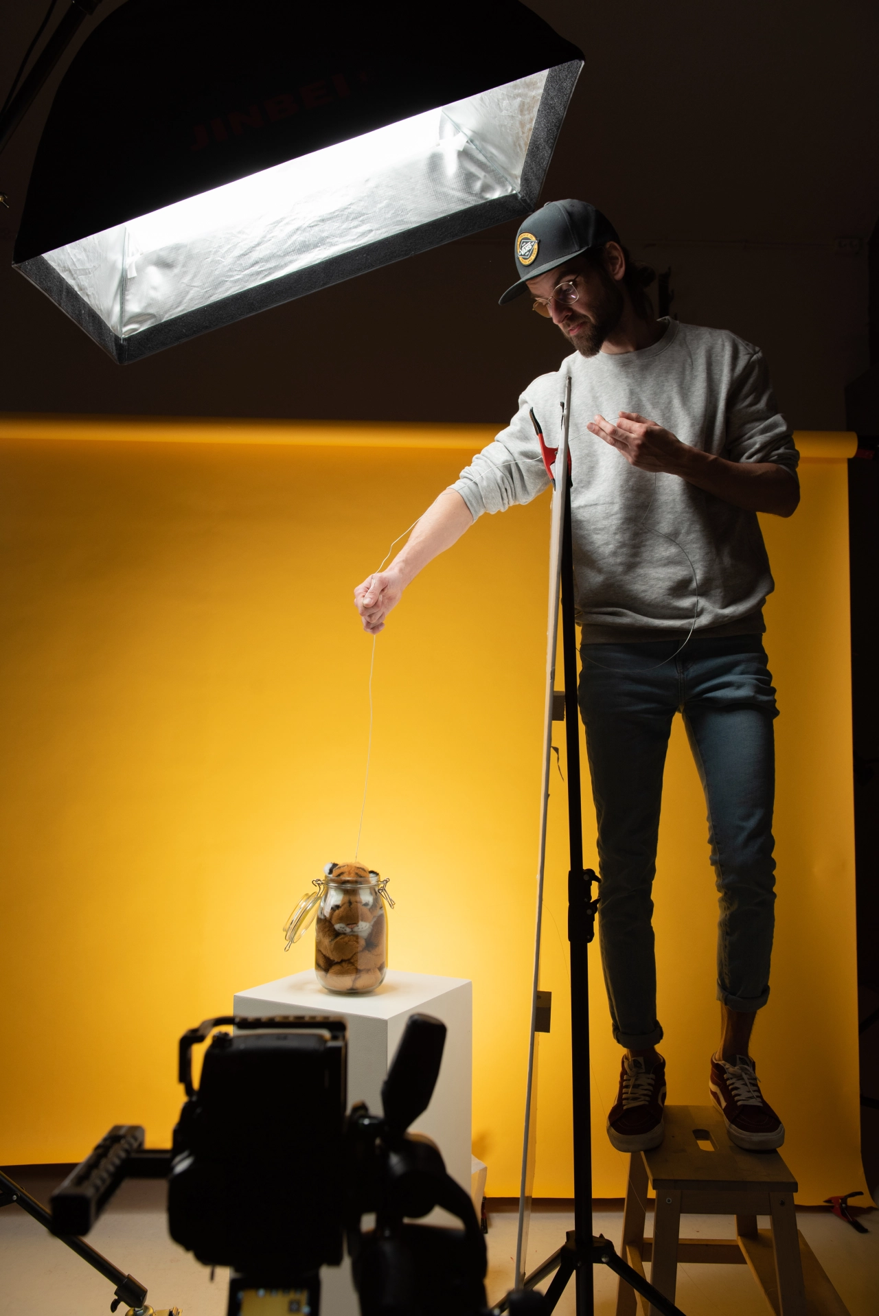 Behind the scenes for Save The Tiger campaign for WWF © Studio Mals