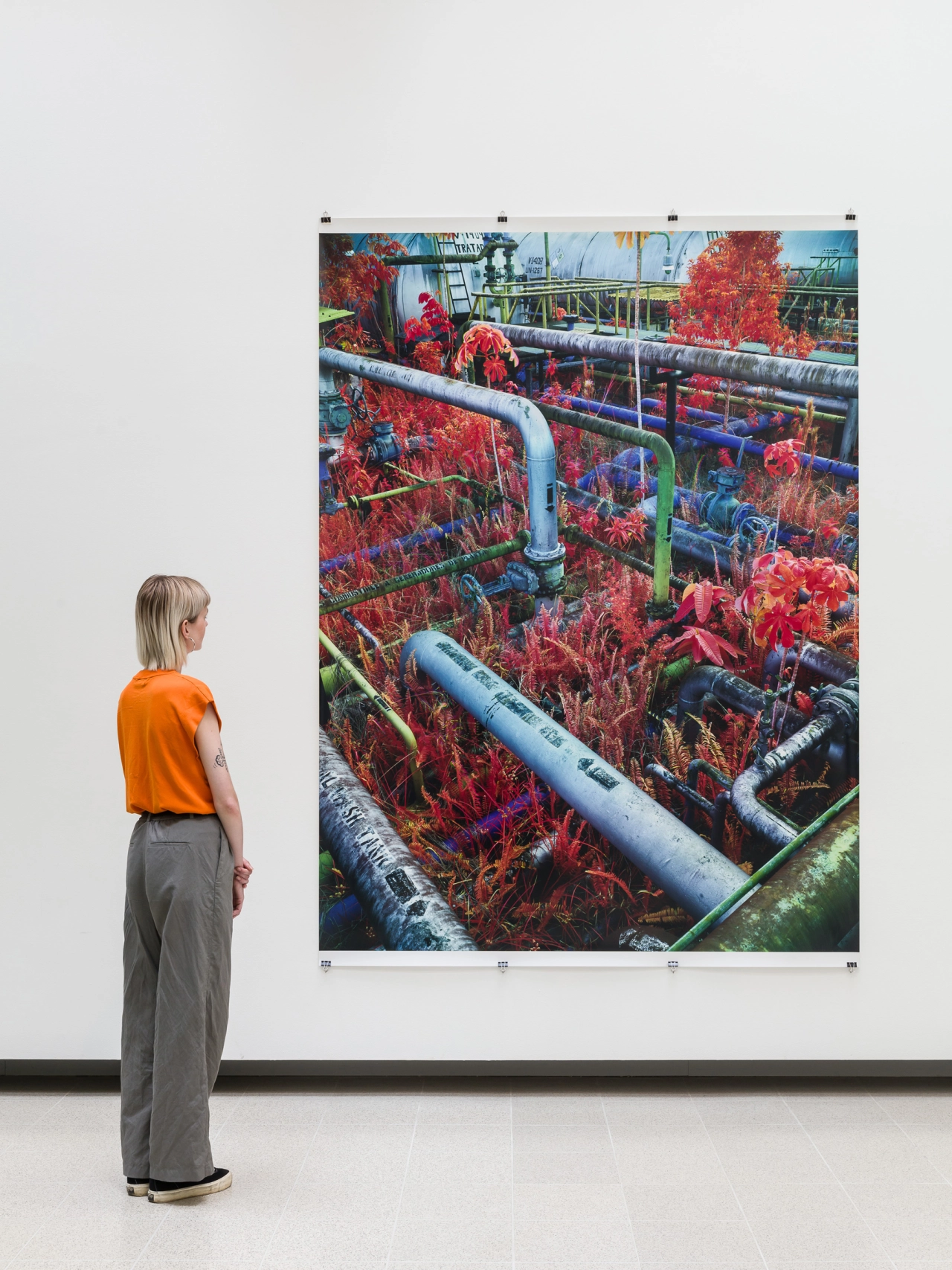 Installation view of Richard Mosse, Dear Earth – Art and Hope in a Time of Crisis. Photo: Mark Blower. Courtesy the Hayward Gallery