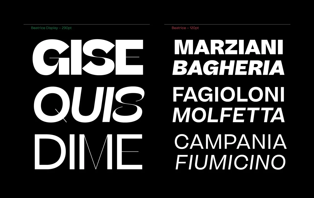 Beatrice Display by Sharp Type