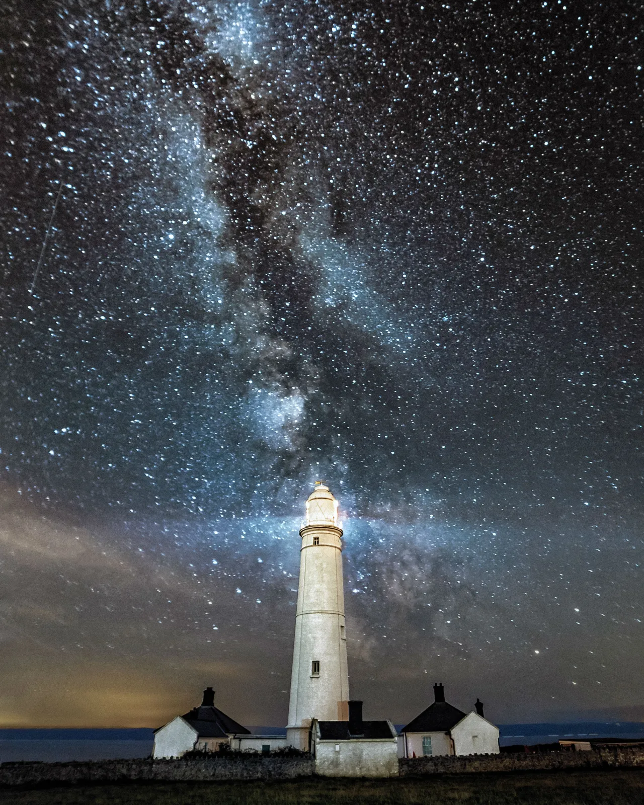 Image credit: Dani Colston