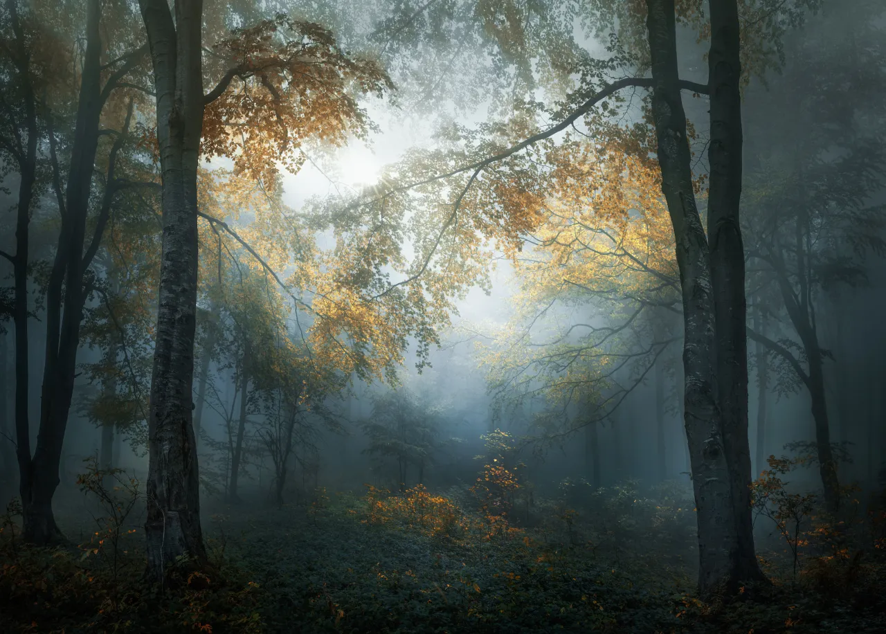 Veselin Atanasov, Open, Landscape & Nature (2018 Open competition), Shortlist, 2018, Sony World Photography Awards