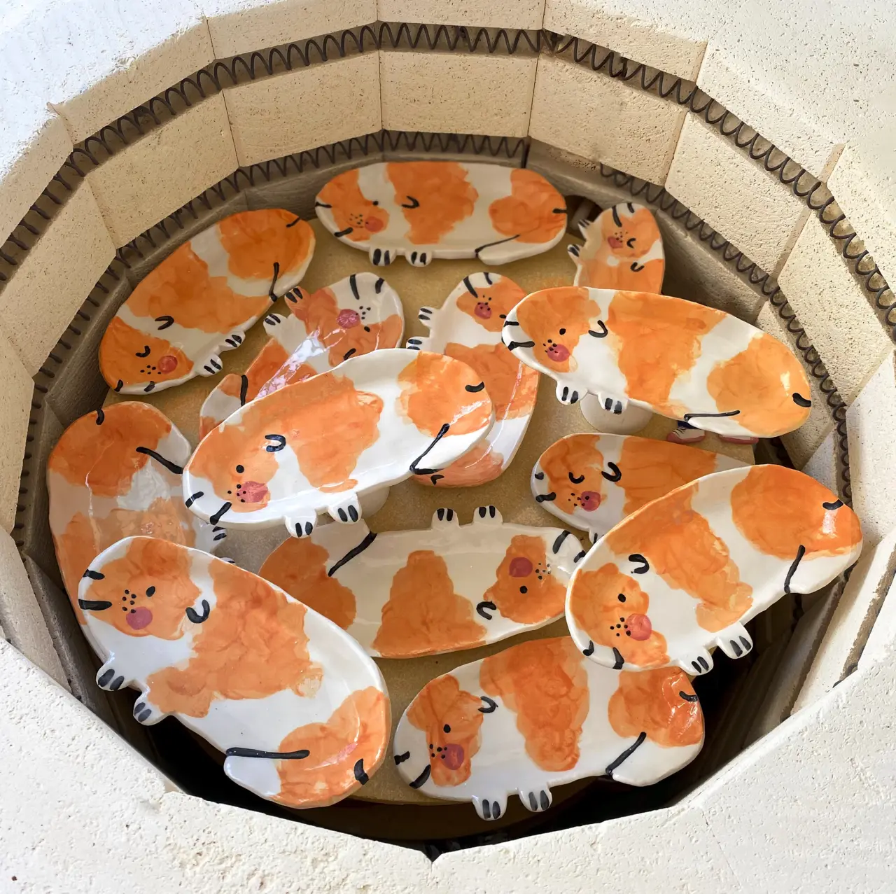 Guinea Pig Dishes