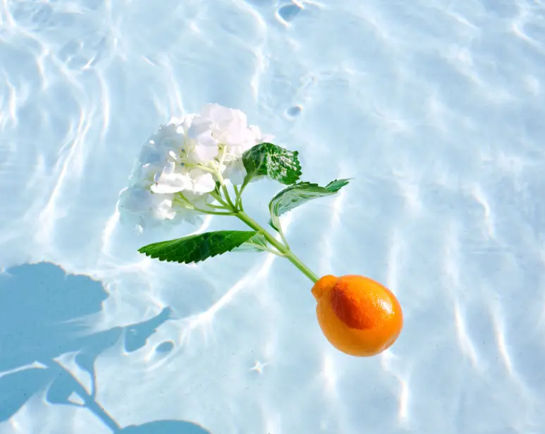 Photo: Yuka Parker