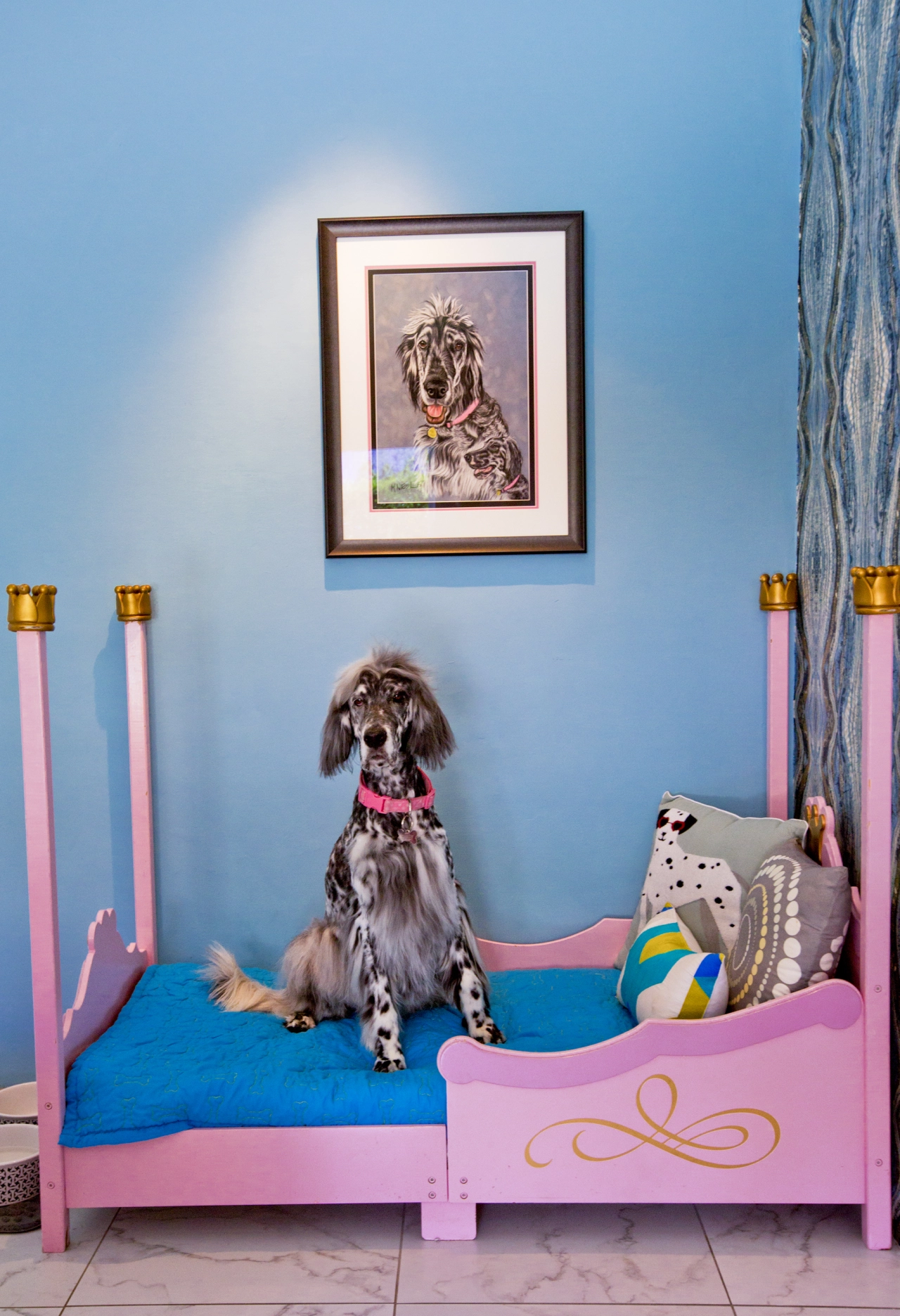Abbey, English Setter. Developer: Paul Trousdale, 1948 © Nancy Baron