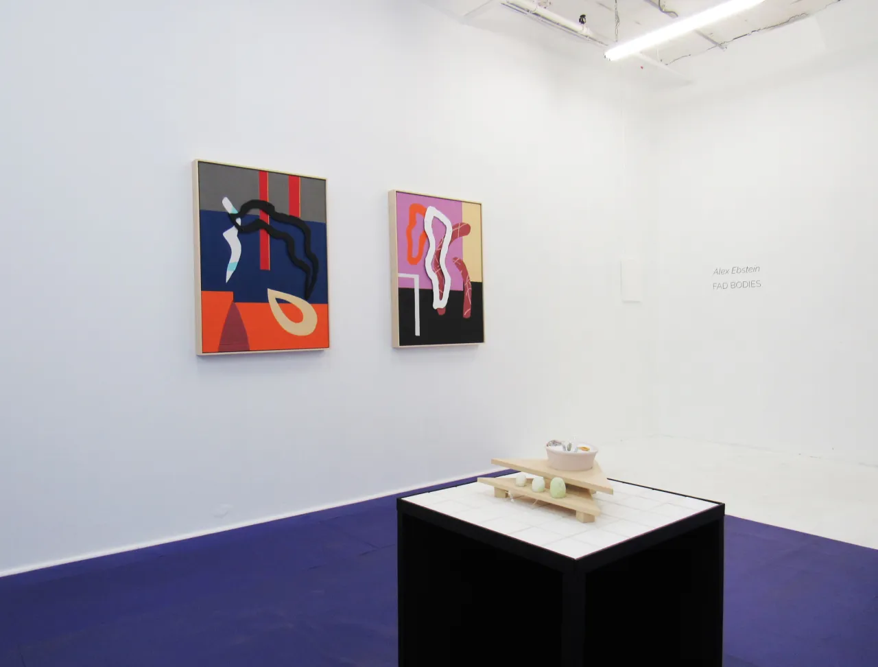 Alex Ebstein: Fad Bodies at VICTORI + MO, April 28 – June 4, 2017, Courtesy of the artist and VICTORI + MO
