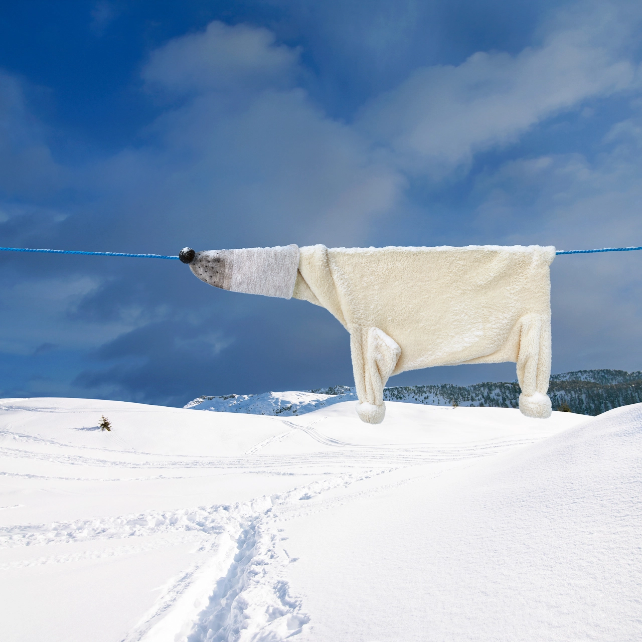 Hang On! © Helga Stentzel