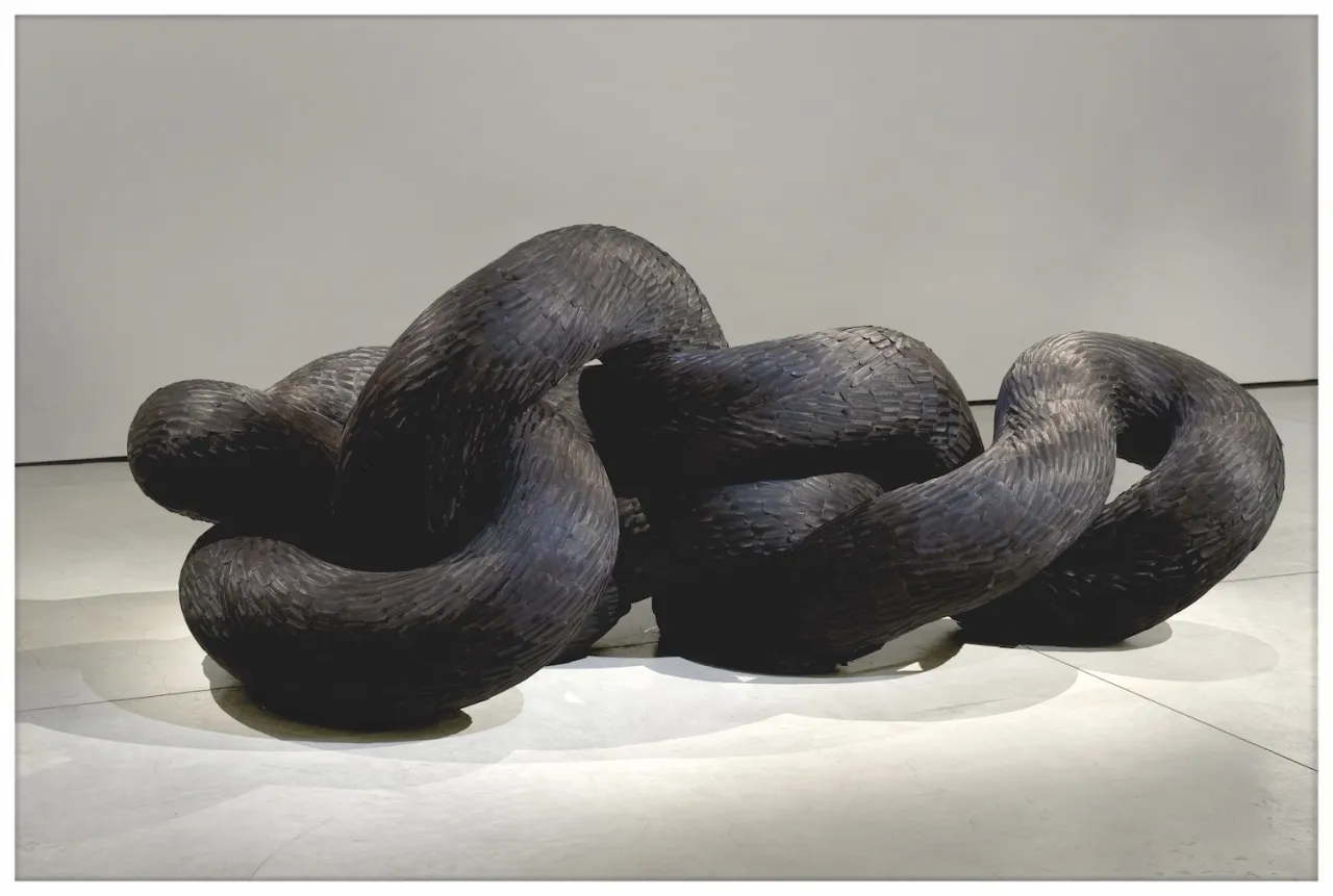 Kate MccGwire Corvid, 2011 Crow's feather and mixed media 122 x 331 x 149 cm © Kate MccGwire, 2017 Image courtesy of the Saatchi Gallery, London