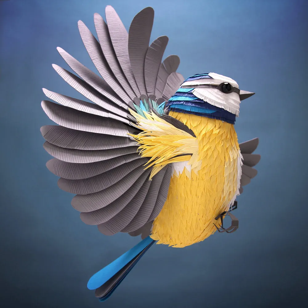 Blue Tit for Waitrose Weekend Magazine