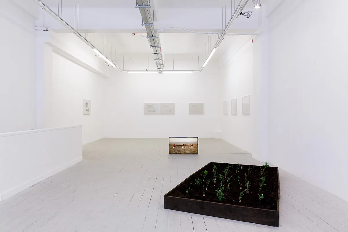 Installation view, Pi Artworks London, 2017