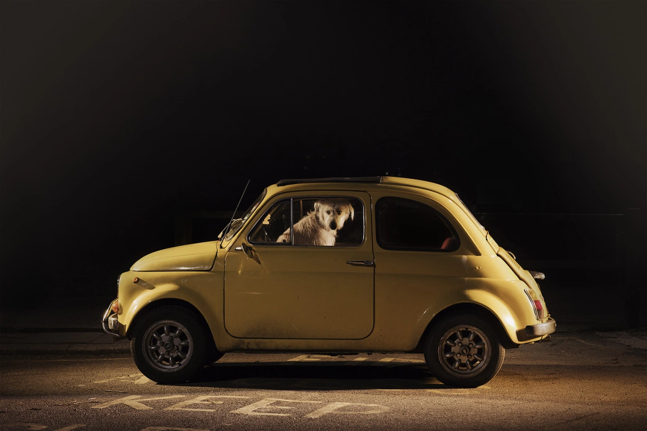 © Martin Usborne