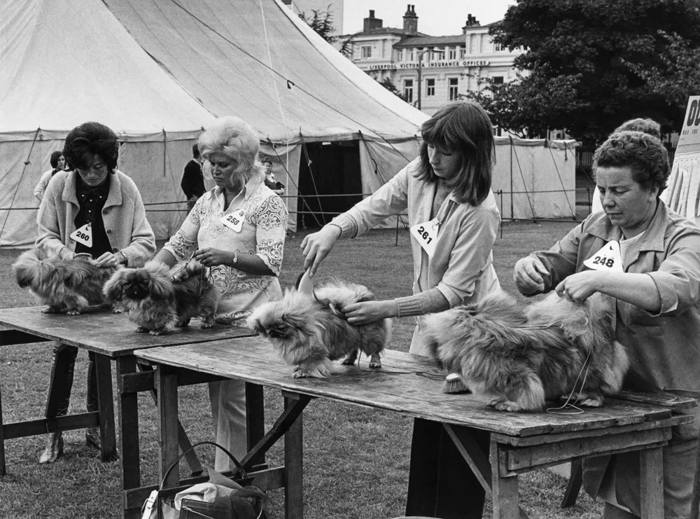 © Estate of Shirley Baker/Mary Evans Picture Library